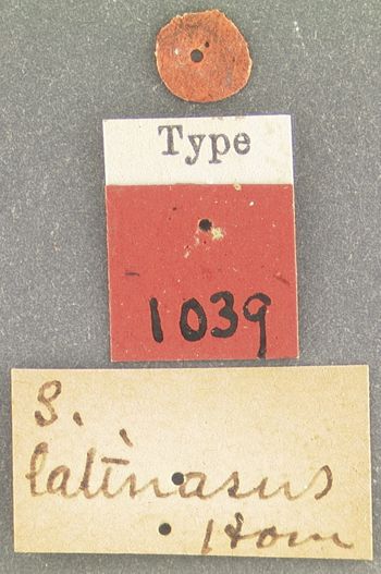 Media type: image;   Entomology 1039 Aspect: labels